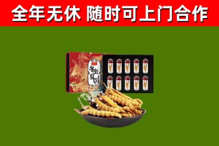 铁山港区烟酒回收冬虫夏草礼盒.jpg